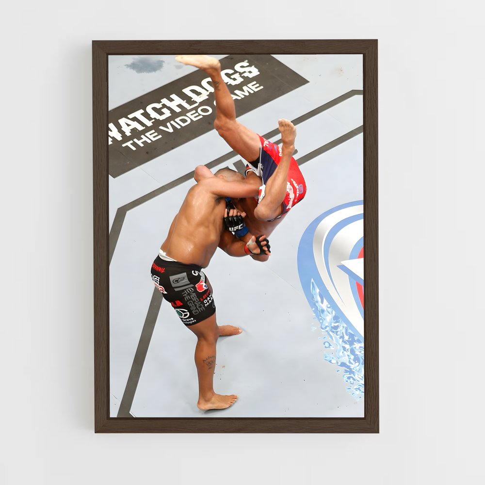 Poster Dan de henderson – affiche MMA (vue 5)